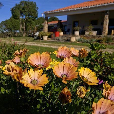 דירות אלג'זור Quinta Reuffurth מראה חיצוני תמונה