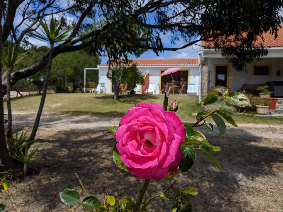 דירות אלג'זור Quinta Reuffurth מראה חיצוני תמונה